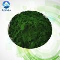 TGY Lieferung Best Price Indocyanin Green Pulver CAS3599-32-4