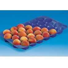 Plat de fruits frais en plastique de couleur différente 29X39cm / 29X49cm / 39X59cm