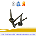 Auto FIAT Diesel Spare Engine Valve spindle