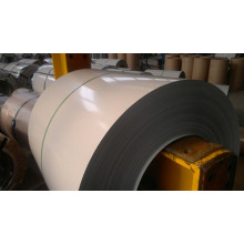 PPGI Coated Coated Galvanized Steel Coil / PPGI in Coils PPGI Sheet