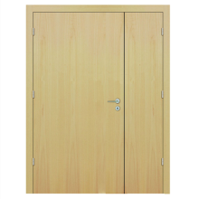 Veneer Hollow Core Doors for Hospital