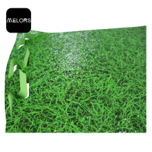 EVA Tatami Grass Printing Taekwondo Sports Mat