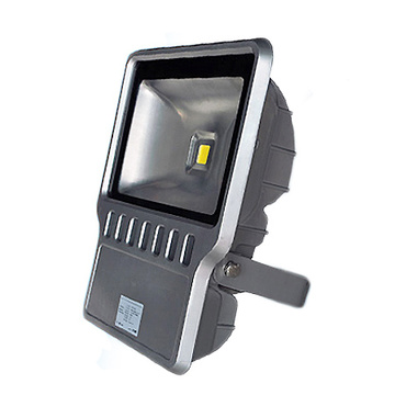 ES-100W LED Industrial Flood Light