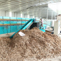 Automatic Equipment Of Veneer Dryer