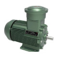 Variable Frequency Adjustable Speed Three-phase AC Motor