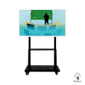 55 Inches Smart LED Panel With Mobile Stand