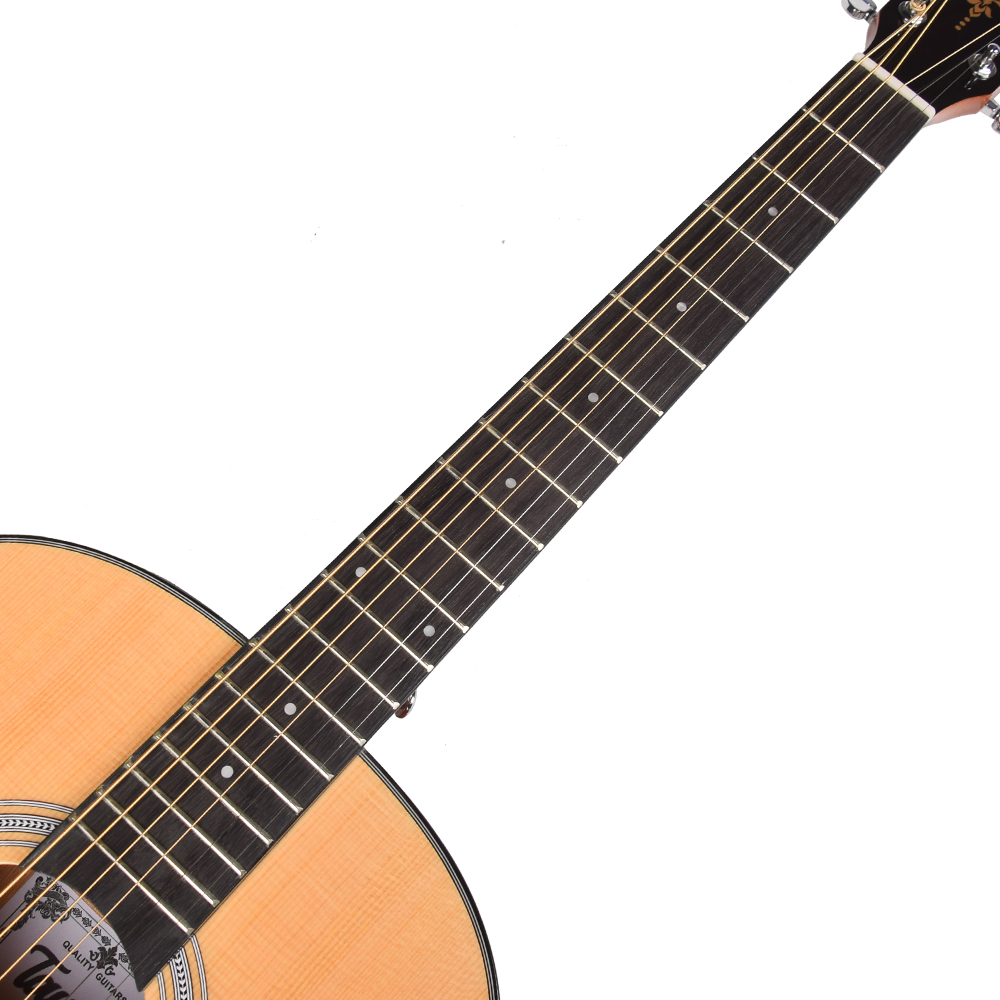 Ts66 Semi Guitar Acoustic Ts66 Semi Guitar Acoustic