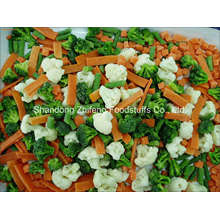 Frozen Mixed Vegetable for Exporting