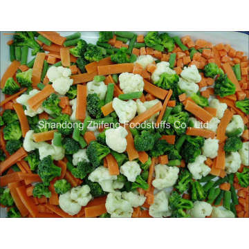 Frozen Mixed Vegetable for Exporting