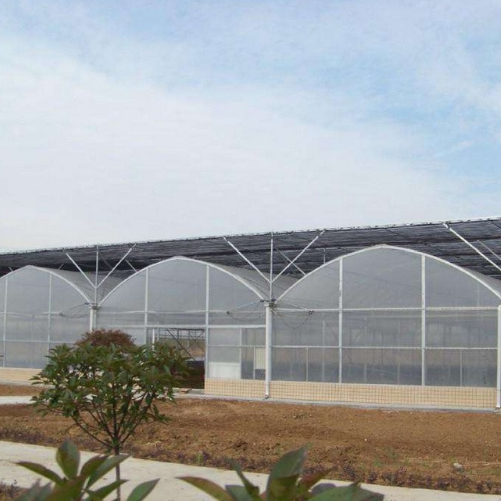 Film Multi-span Greenhouse Film Multi-span Greenhouse