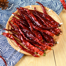 Condimento auténtico de alimentos Erjingtiao Chili Red Red Chili