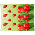 Colourful design 200-250cm polyester printed fabric