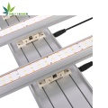 Barra de luz LED de 1000W para cultivo