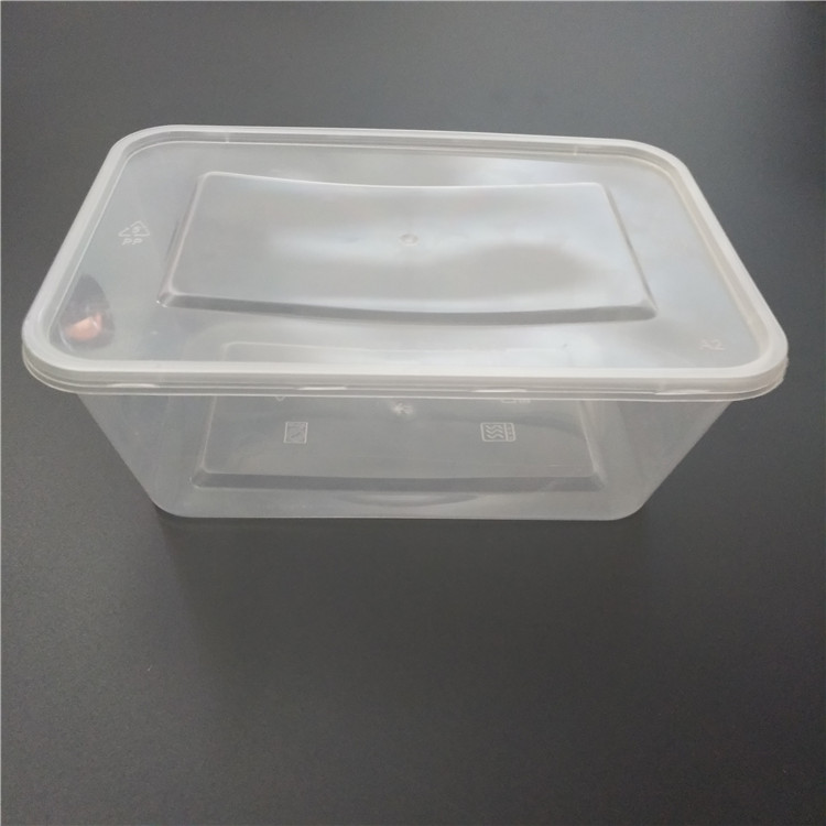 takeaway plastic food box