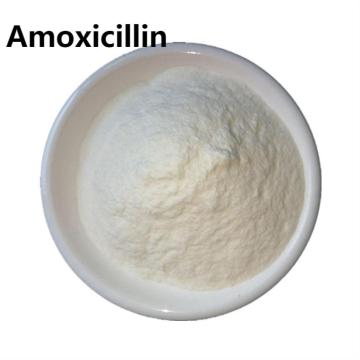 amoxicilina y clavulanato en polvo para perros