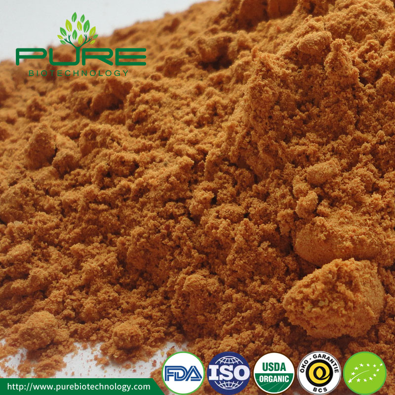 Organic certification pure goji powder / wolfberry Powder
