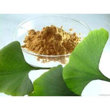 Ginkgo Biloba Extract 100% Through 80mesh Ginkgo Biloba