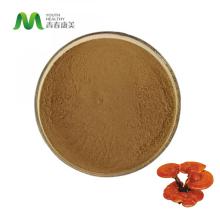 Reishi Cogumelos/ Ganoderma Lucidum Extrato