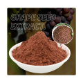 Supply High Quality Grape Seed Extract 95% OPC