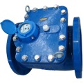 Woltman Dry Type Water Meter (Compteur de masse)