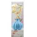 Diffuseur aromatique coloré Reed Diffuseur avec parfum Oil Air Freshener