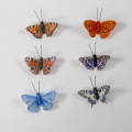 Butterfly craft diy