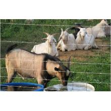 Galvanized Farm Fence/ Cattle Fence