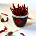 Wholesale dried chilli Bhut Jolokia is super hot