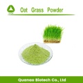 Health Products Oat Grass Powder Instant Oatmeal