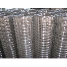 Stainless Steel Welded Wire Mesh