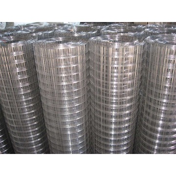 Stainless Steel Welded Wire Mesh