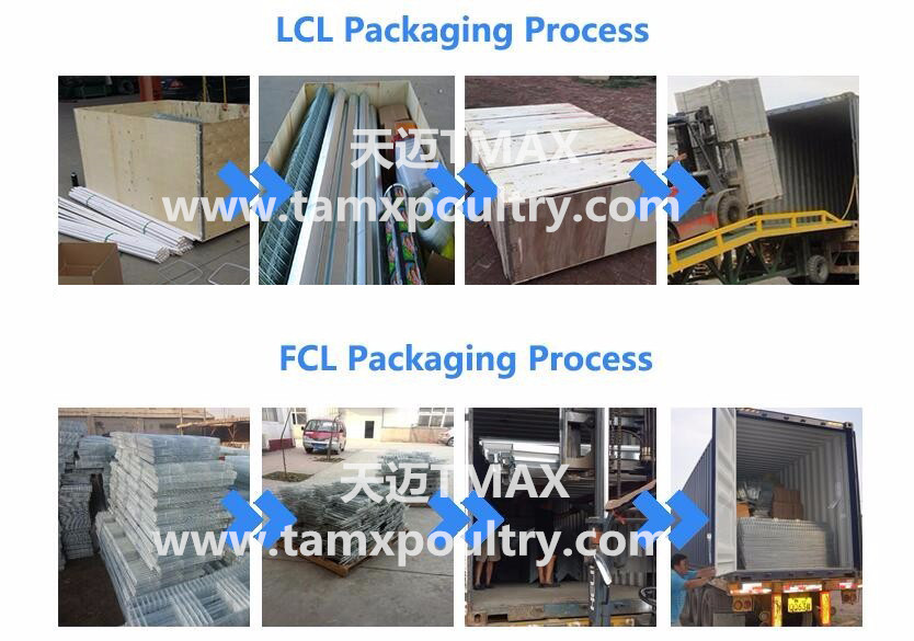 LCL and FCL packing
