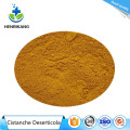 Compre ingredientes online Cistanche Deserticola Extract Powder