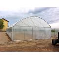 Economic PE Film Hot sale tunnel greenhouse