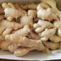 Buena calidad de Chinese Air Dry Ginger