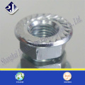 Hex Flange Nut with Zinc