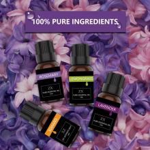 O presente puro do óleo essencial de 100% ajustou 6 / aromaterapia 10ml