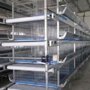 Poultry Farming System LED Tube Lamp