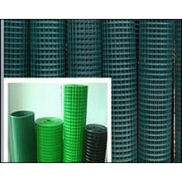 PVC Coated Welded Wire Mesh From Factory