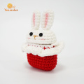 Red And White Stitching Rabbit Bluetooth Earphone Case