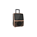 New Style Portable LCD Trolley Speaker