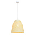 Modern Minimalist Creative Bedroom Dining Room pendant lamp