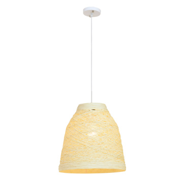 Modern Minimalist Creative Bedroom Dining Room pendant lamp