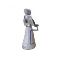 Robot Service Automation Commercial Service Robots