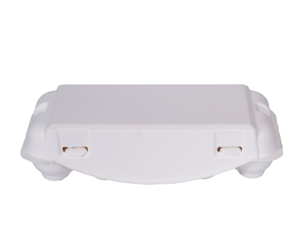 Pulp egg carton02 Pulp egg carton02