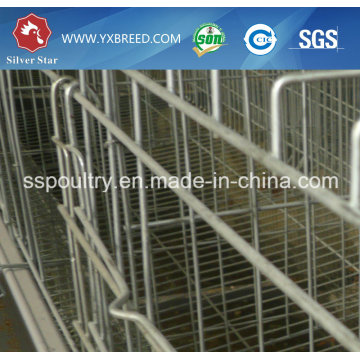 South Africa Best Price Automatic Layer Chicken Cage for Sale