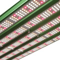 730W 1000W LED -Streifen wachsen Licht