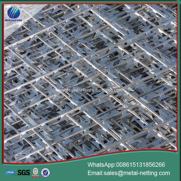 Razor Wire Fencing