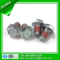 Nylon Patched Hex Flange Head Bolt