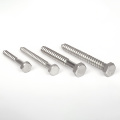 SS304 Flat Head Hexagon Screw Wood Screw